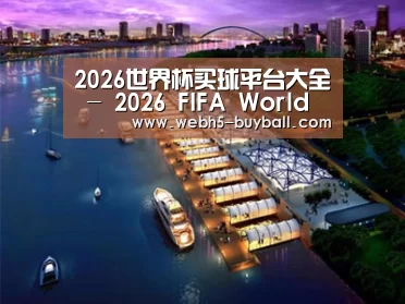 案例展示八