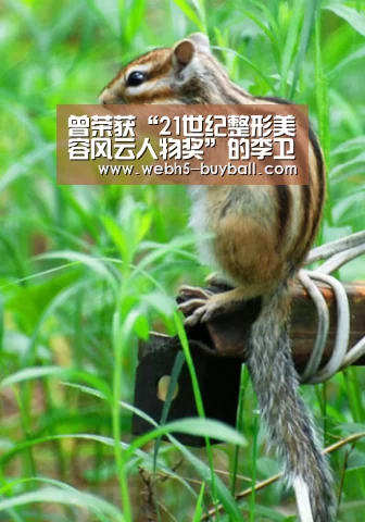 世界杯外围买球