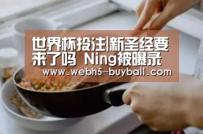 世界杯投注|新圣经要来了吗 Ning被曝录制吐槽大会(图1) 世界杯买球网站