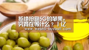 拒绝抢跑5G的苹果,究竟在等什么?丨亿欧观点“世界杯投注”(图3) 世界杯买球网站