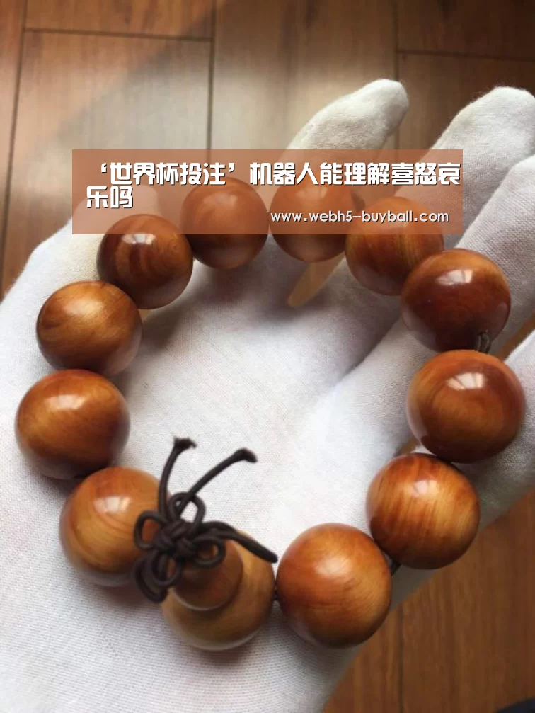 世界杯买球网站