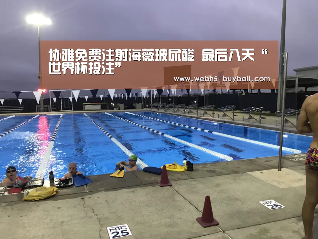 世界杯买球网站