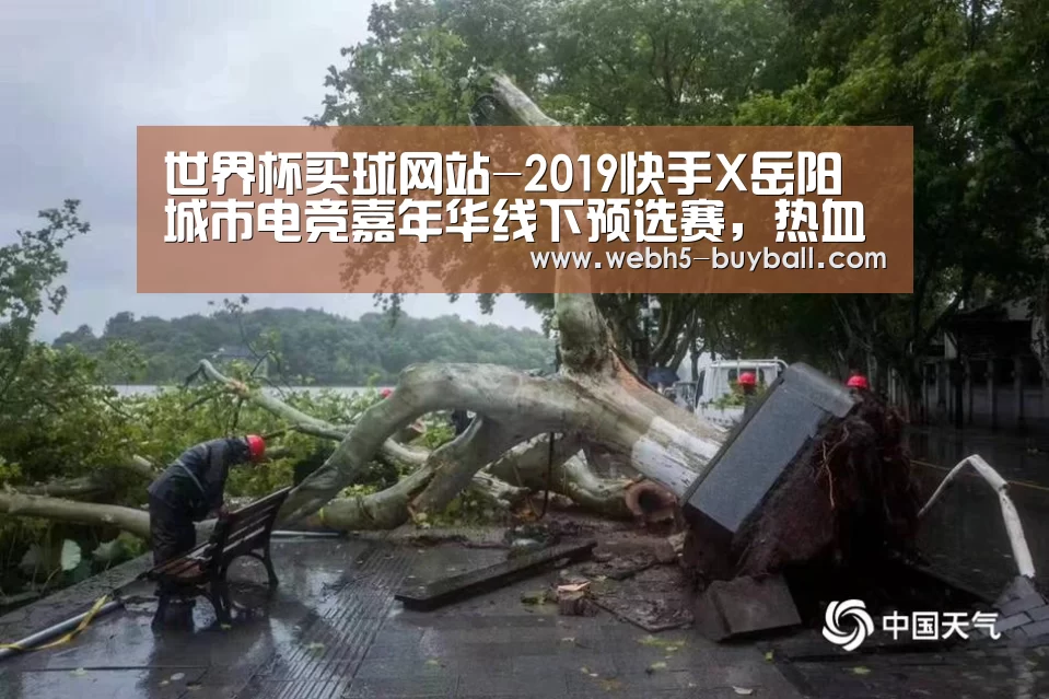 世界杯买球网站-2019快手X岳阳城市电竞嘉年华线下预选赛,热血开战(图3) 世界杯外围买球