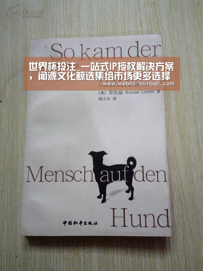 世界杯外围买球